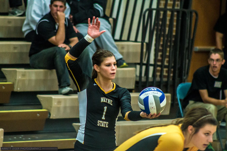 Wayne State Volleyball by JarrettLeger on DeviantArt
