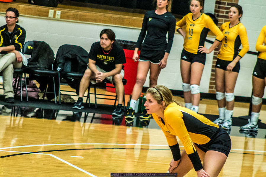 Wayne State Volleyball by JarrettLeger on DeviantArt