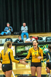 Wayne State Volleyball