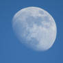 'Blue' Moon