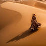 A lone walk in the Desert