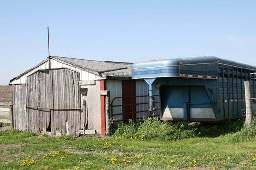 Old Horse Trailer and Shed