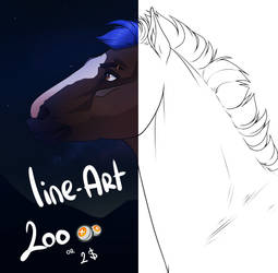 Lineart | Horse Portrait