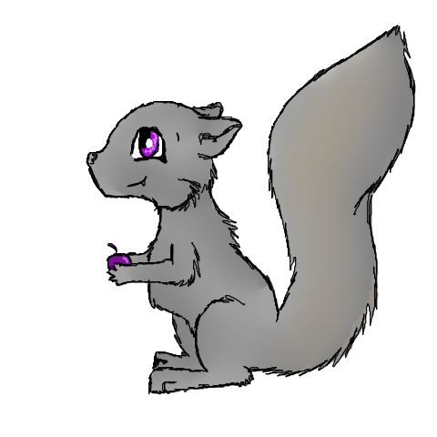 Squirrel