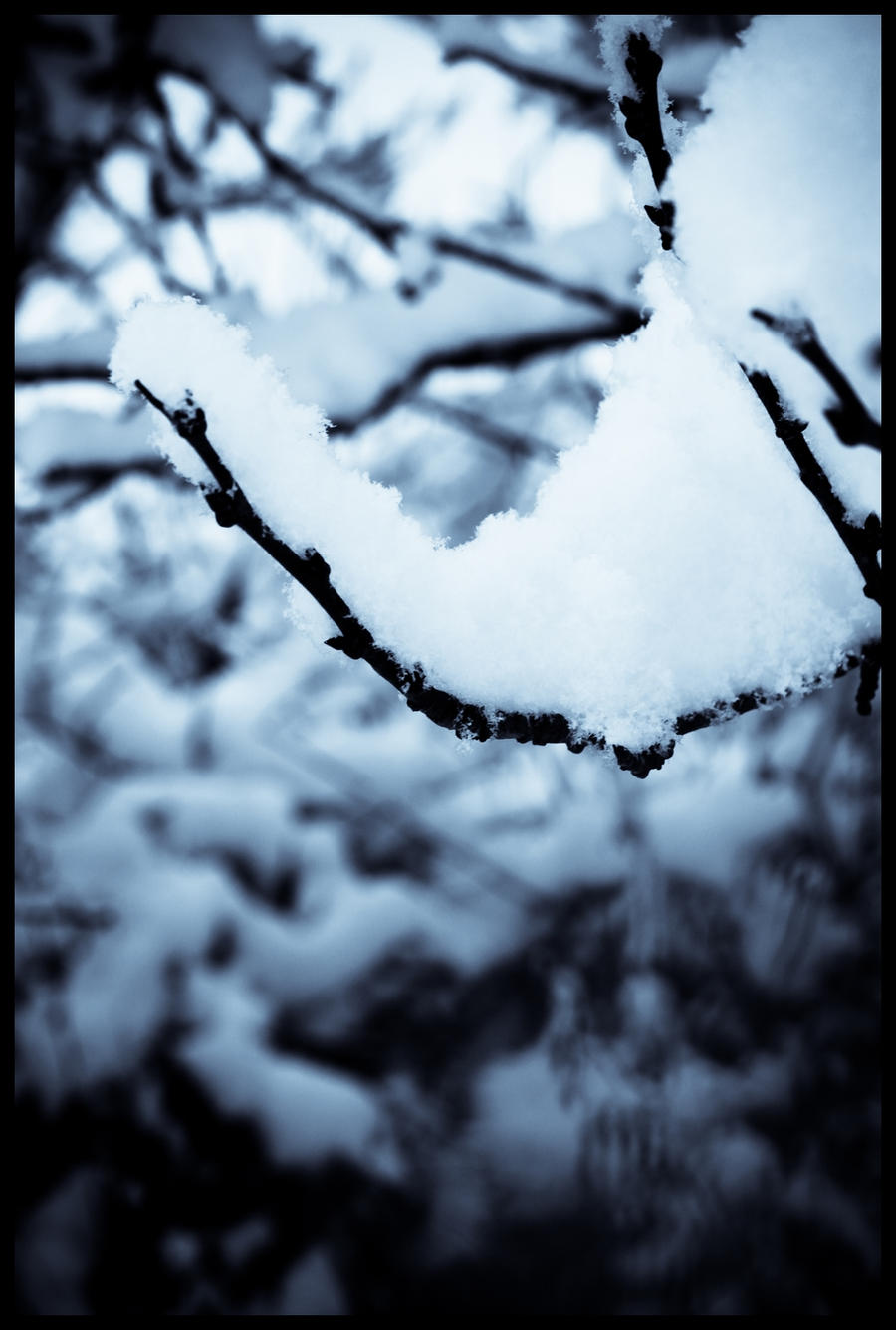 neige