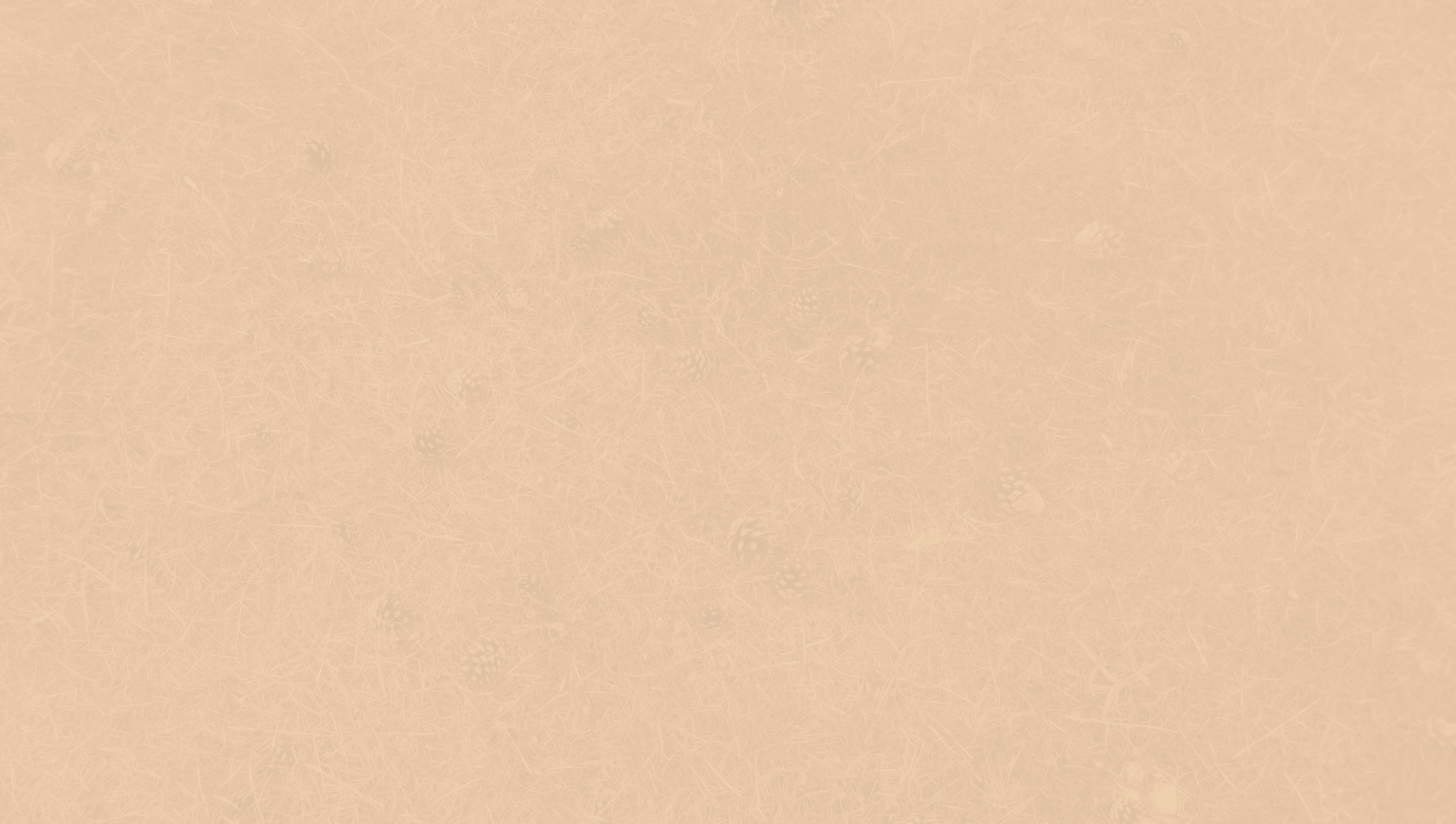 Beige Script Paper Beige Paper by PaulineMoss on DeviantArt