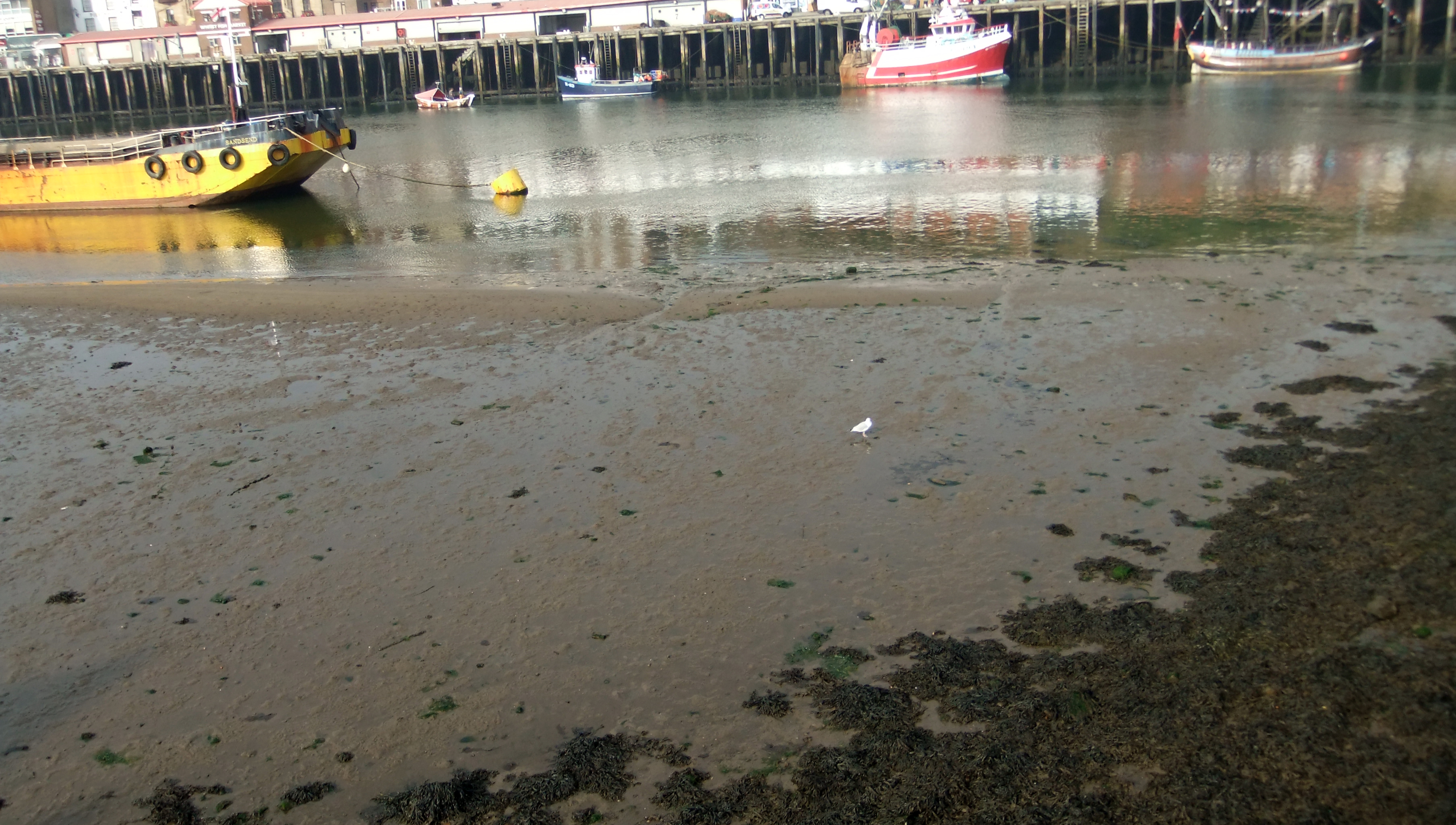 Whitby Harbour (7)