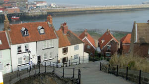 Whitby Steps (7)