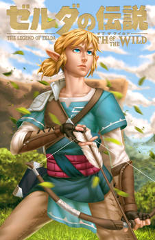 Breath of the Wild: LINK