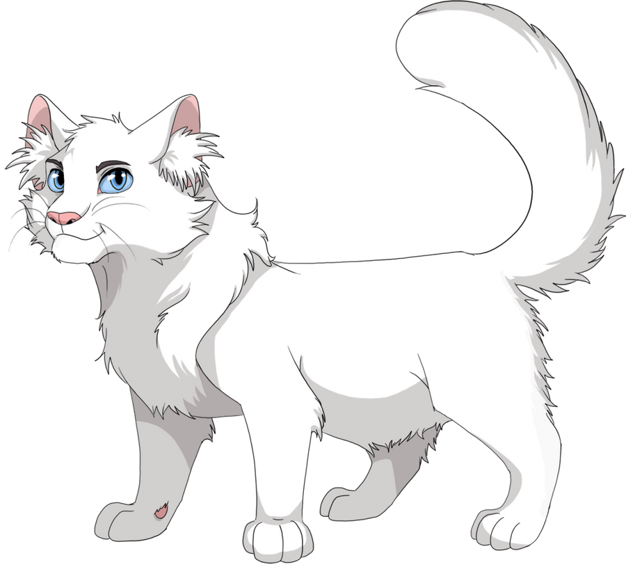 Cloudtail reference