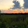 Dusk in Kaufman County, TX