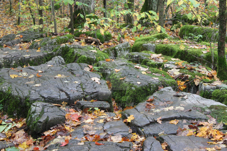 Mossy Rocks Fall Mossy Fall by DaniJ87 on DeviantArt