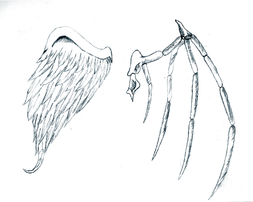 Good V S Evil Wings By Poeticdarkness14 On Deviantart Good V S Evil Wings By Poeticdarkness14 On Deviantart