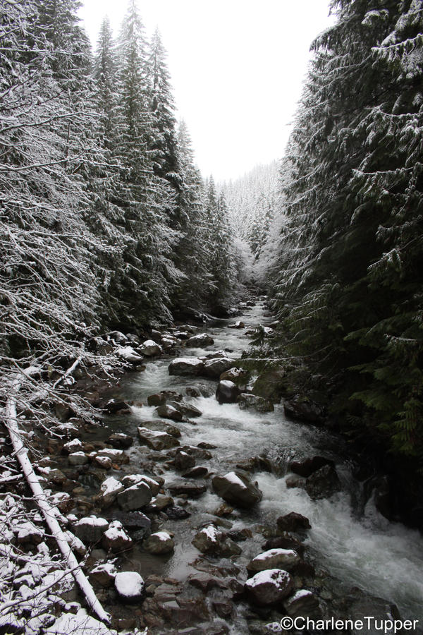 Mt. Baker II