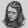 Arya Study