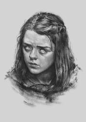 Arya Study