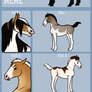 Foal Meme | Hawk