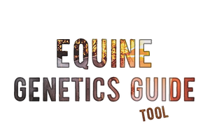 Genetics Guide