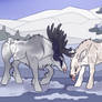 FoV | Snow Mlems | Devotion