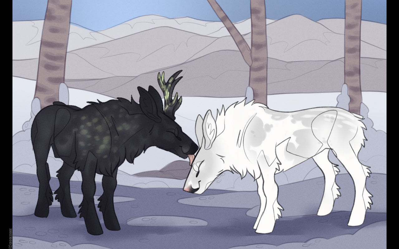 FOV | Snow Kisses | Devotion