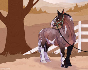 TRADE | Buckshot | LBA