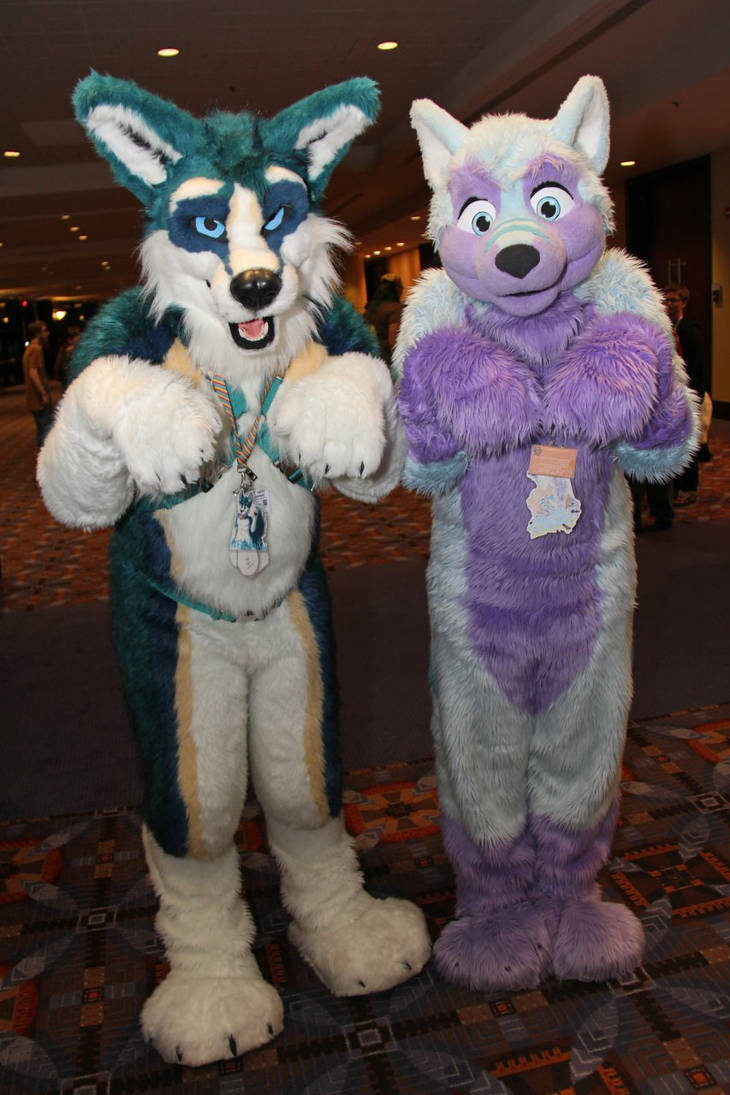 Puppy Begs - MFF 2013 by LightningTheFox7