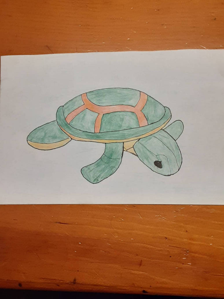 Tutrle drawing by Symue on DeviantArt