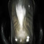 ALIENS: ALIEN WARRIOR -