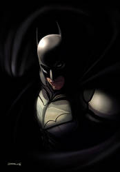 The Dark Knight -