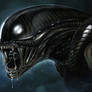 ALIEN - H.R. GIGER PITCH -