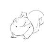Fat squirrel