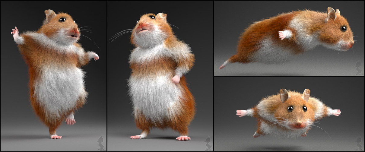 hamster 3D