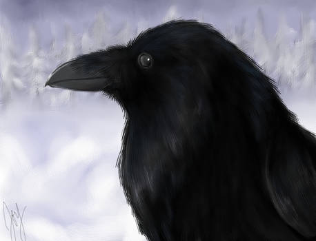 Raven