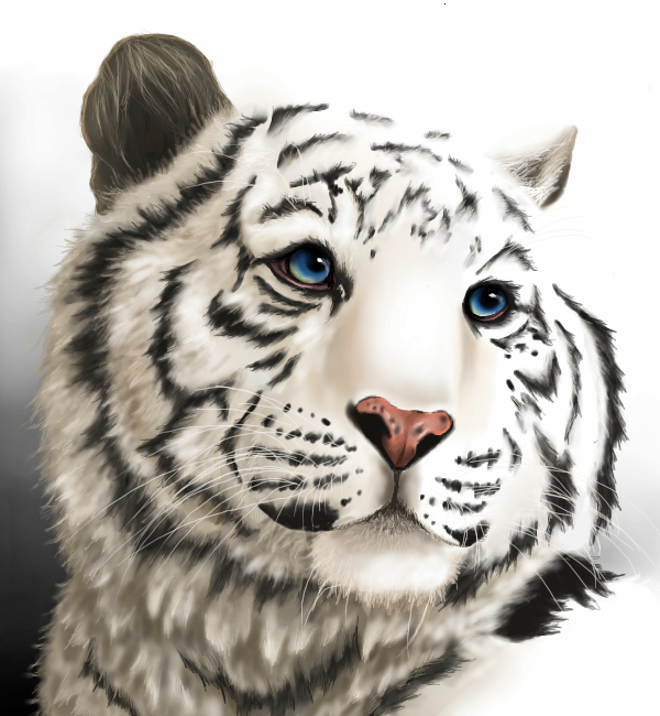 White Tiger