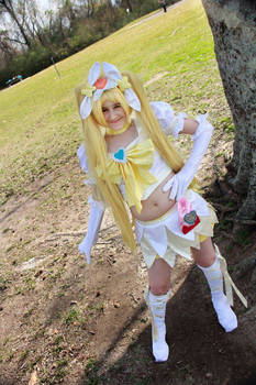 Heartcatch Pretty Super Cure Sunshine Cosplay 3