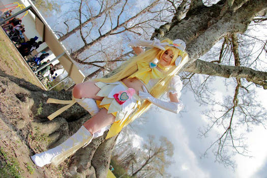 Heartcatch Pretty Super Cure Sunshine Cosplay 4