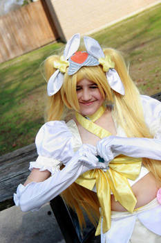 Heartcatch Pretty Super Cure Sunshine Cosplay 6