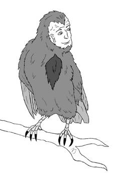 Escher Crow