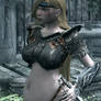 Heavily Armored Mira of Skyrim