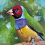 Tropical Bird Miniature