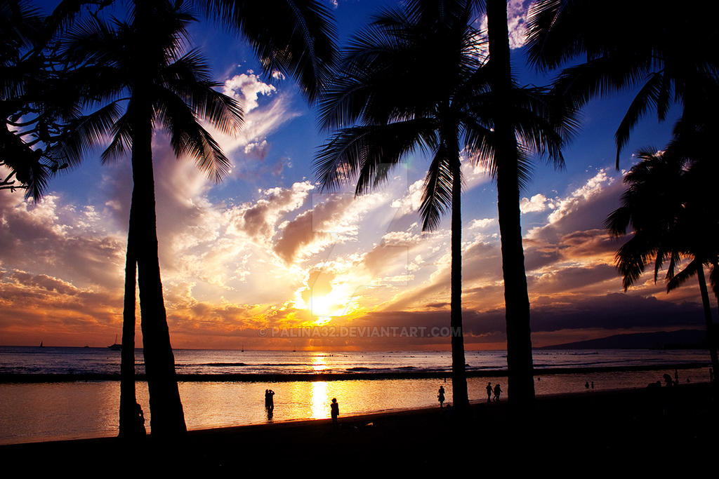 Waikiki Sunset 3