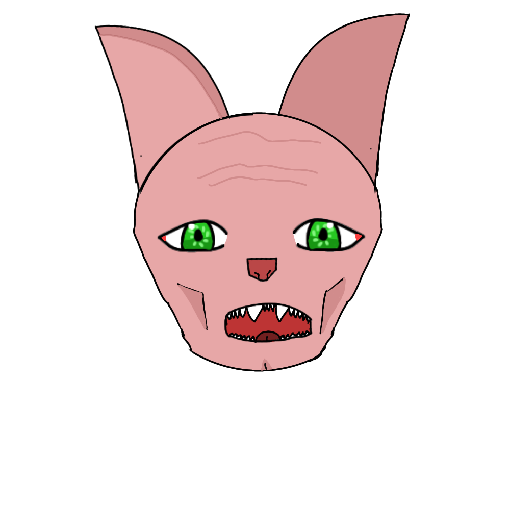 Bald Cat By LogicAnime On DeviantArt bald-cat-by-logicanime-on-deviantart