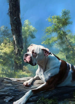 Forest Bulldog