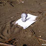 3D Drawing - On the sandy beach
