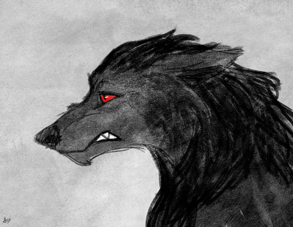 Wolf by NightlyPhantom on DeviantArt