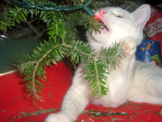 Olly and His Christmas Tree