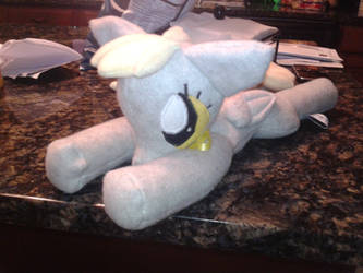 Derpy is ready!