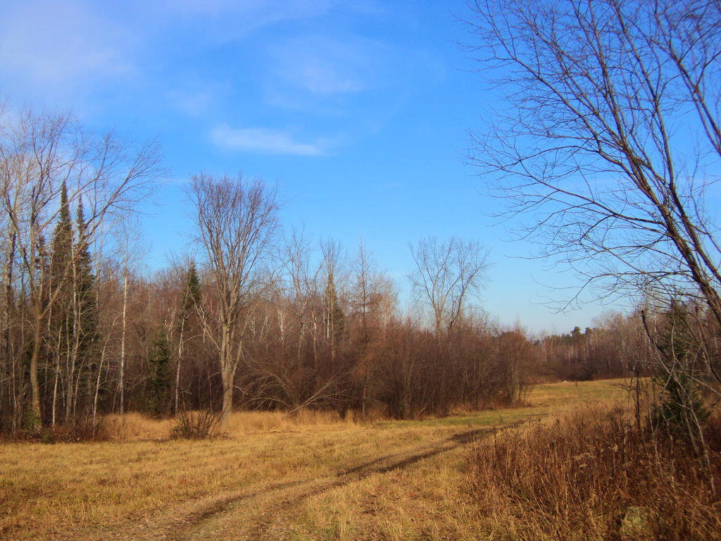 Hunting Field by Pengu333 on DeviantArt