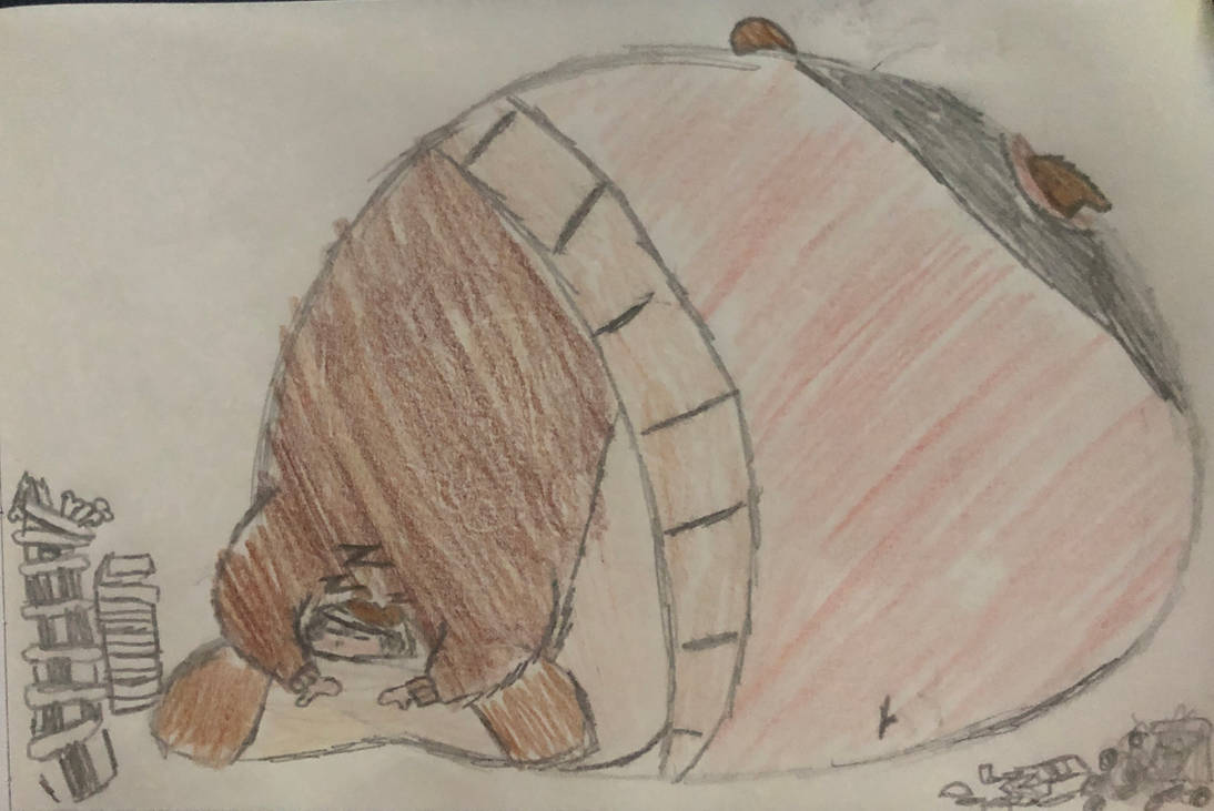 Kumasi Inflation Deviantart Kuma's Hibernation Sensation by NormHal on DeviantArt
