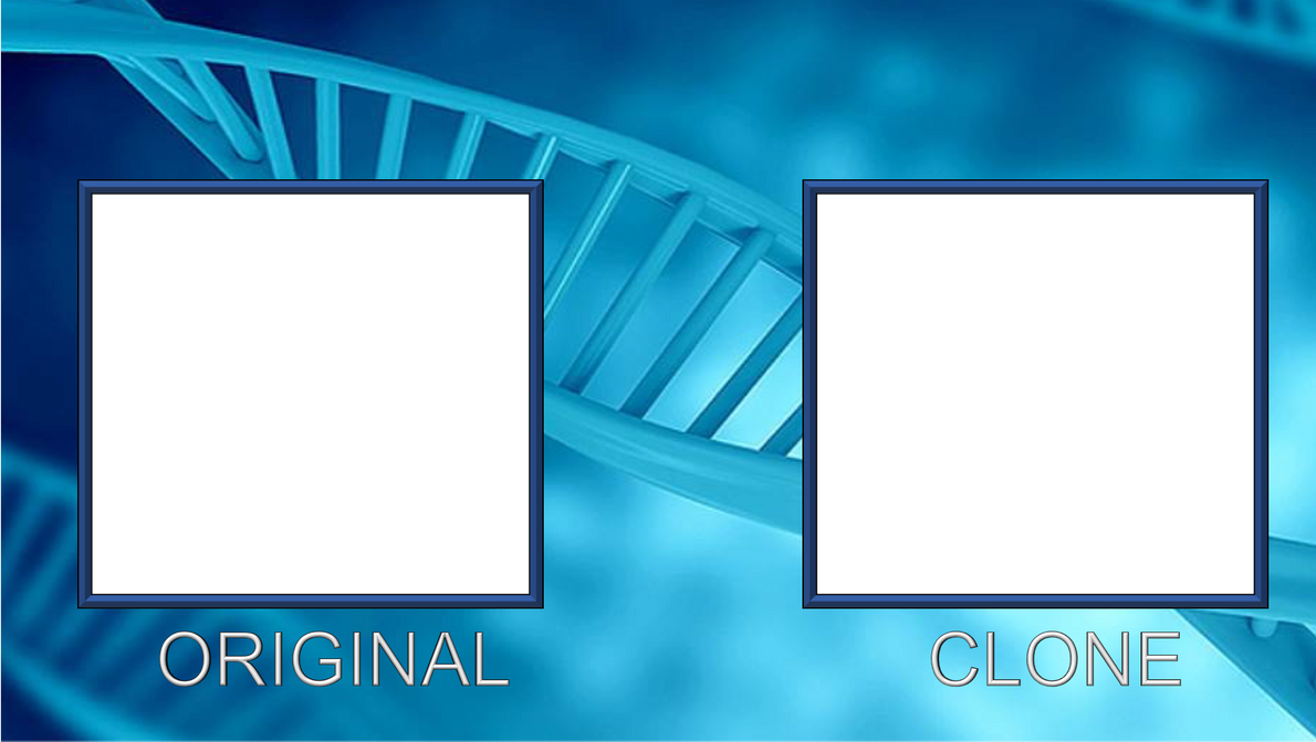 Clone Template by Evermore64 on DeviantArt